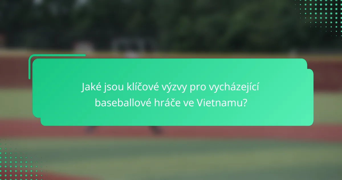 Jaké jsou klíčové výzvy pro vycházející baseballové hráče ve Vietnamu?